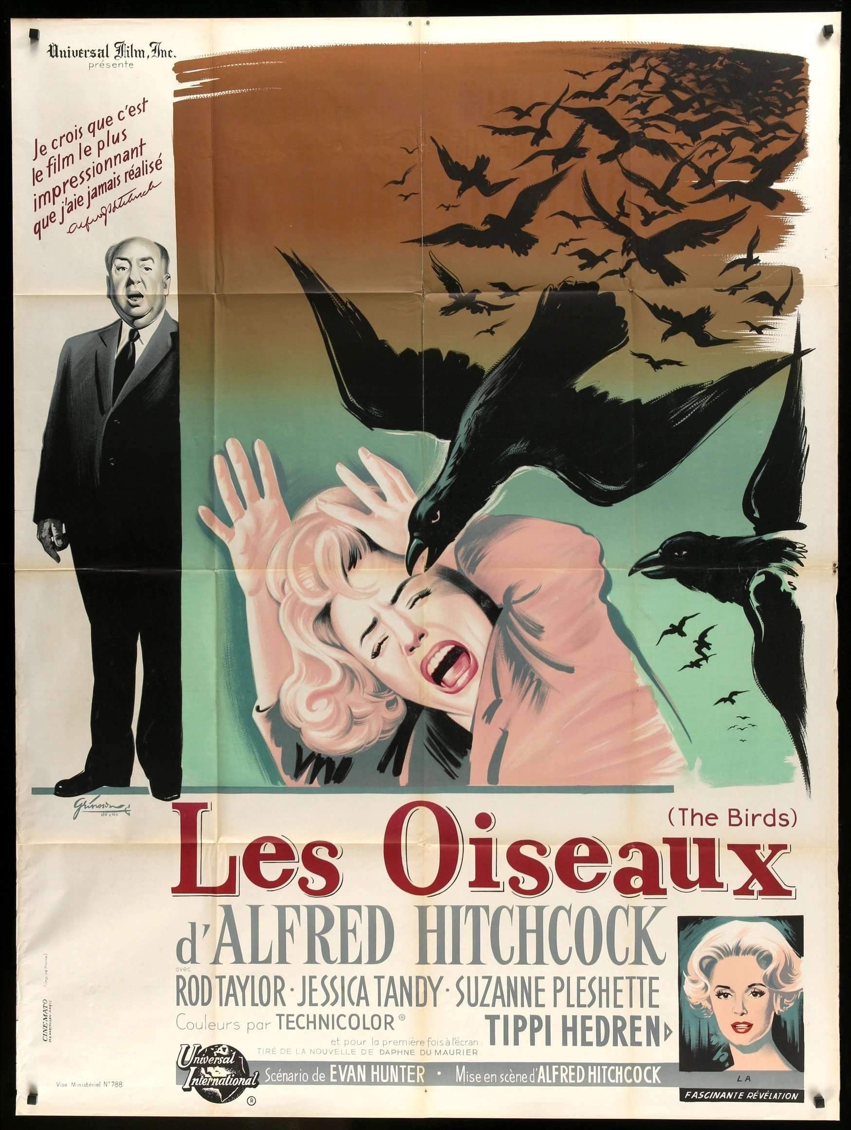 Birds (1963) original movie poster for sale at Original Film Art